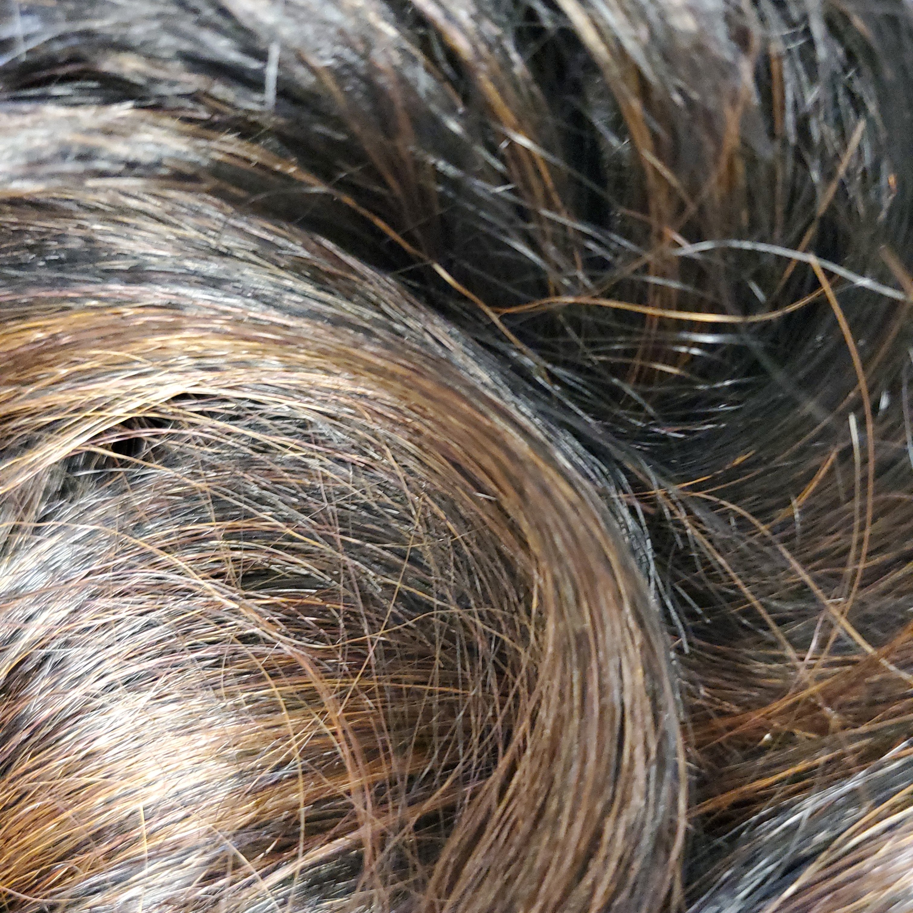 Vivica Fox 360 Lace Wig-Aiden - Beauty Bar & Supply