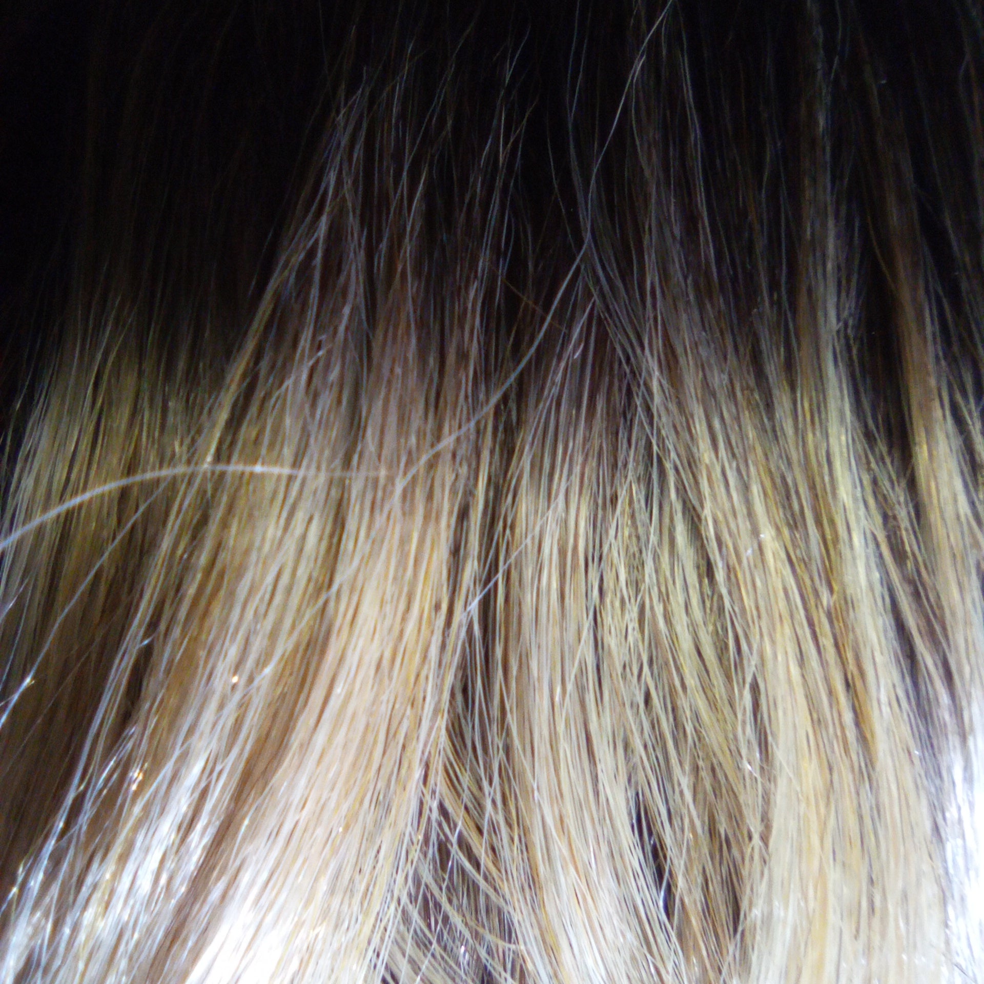 Hair Republic Swiss Lace Front NBS-i1950 - Beauty Bar & Supply