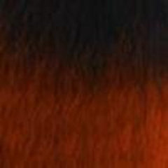 Urban Beauty QUEEN B - BRAIDING HAIR 40" - Beauty Bar & Supply