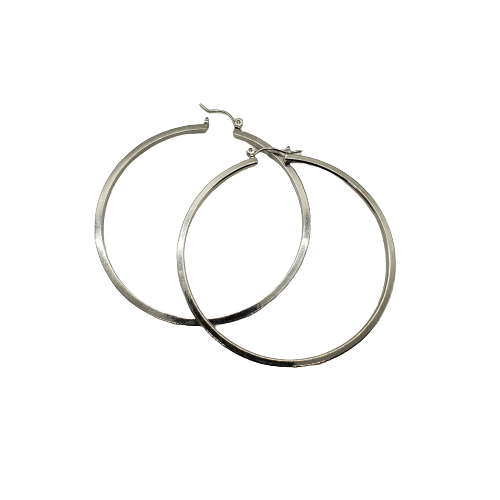 Diva Silver Plated Pincatch Hoop Earrings NPK435 - Beauty Bar & Supply