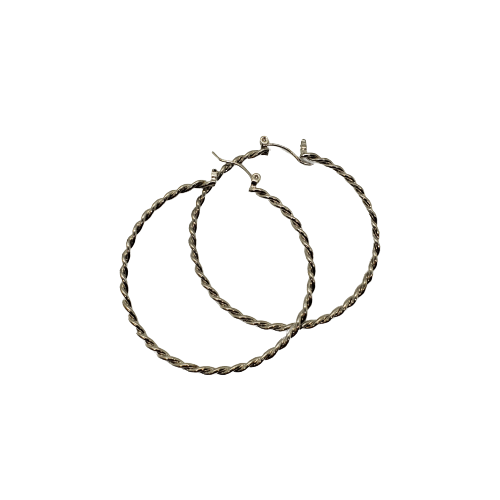 Fashion Jewelry Silver Plated Hoop Earrings 17 - Beauty Bar & Supply