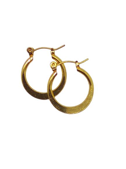 24KT Gold Plated Pincatch Hoop Earrings NPK114 - Beauty Bar & Supply
