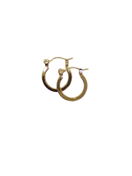 24KT Gold Plated Pincatch Hoop Earrings NPK105 - Beauty Bar & Supply