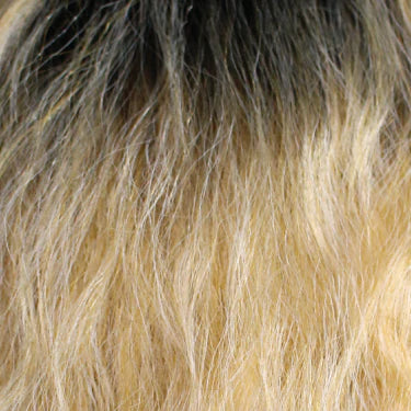 Hair Republic Tru Wig Swiss Lace Front NBS-i302 - Beauty Bar & Supply