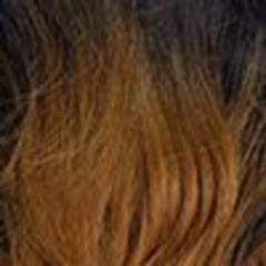 Urban Beauty QUEEN B - BRAIDING HAIR 50&quot; - Beauty Bar & Supply