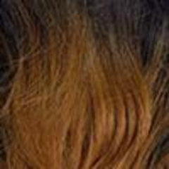 Urban Beauty QUEEN B - BRAIDING HAIR 40&quot; - Beauty Bar & Supply